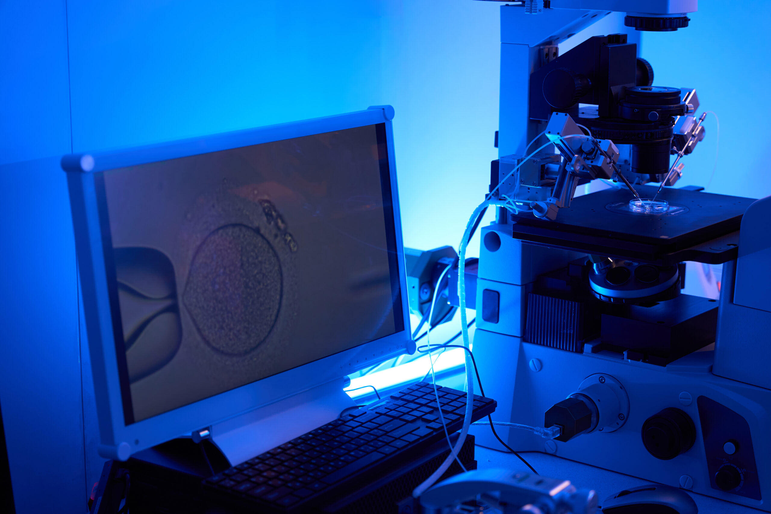 New FDA-Cleared AI Tool Gives Embryologists Support During IVF Selection Process